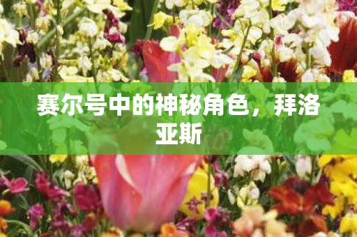 赛尔号中的神秘角色,拜洛亚斯 赛尔号中的神秘角色,拜洛亚斯
