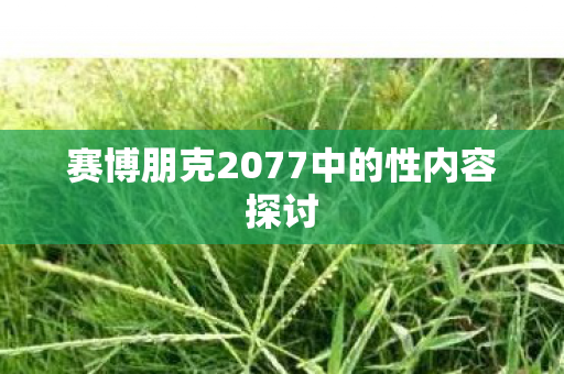 赛博朋克2077中的性内容探讨 赛博朋克2077中的性内容探讨