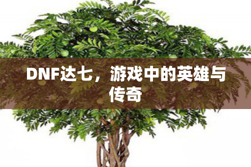 DNF达七,游戏中的英雄与传奇 DNF达七,游戏中的英雄与传奇