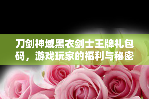 刀剑神域黑衣剑士王牌礼包码,游戏玩家的福利与秘密 刀剑神域黑衣剑士王牌礼包码,游戏玩家的福利与秘密