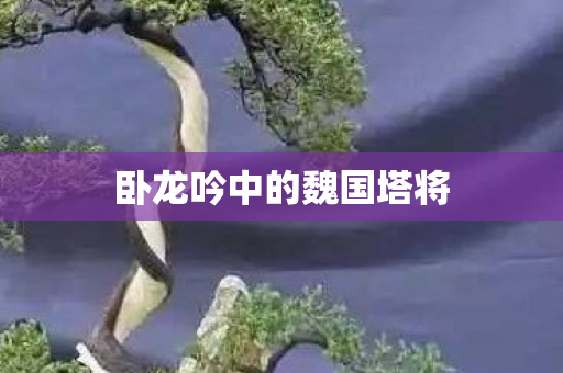 卧龙吟中的魏国塔将 卧龙吟中的魏国塔将