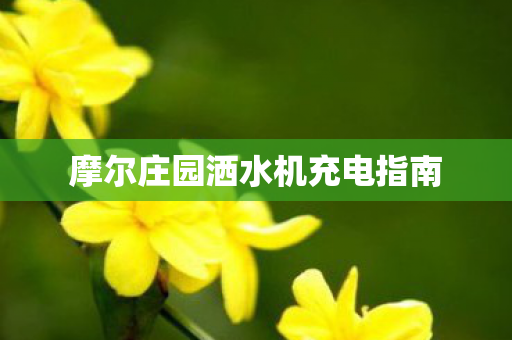 摩尔庄园洒水机充电指南 摩尔庄园洒水机充电指南