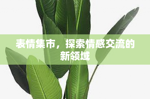 表情集市,探索情感交流的新领域 表情集市,探索情感交流的新领域