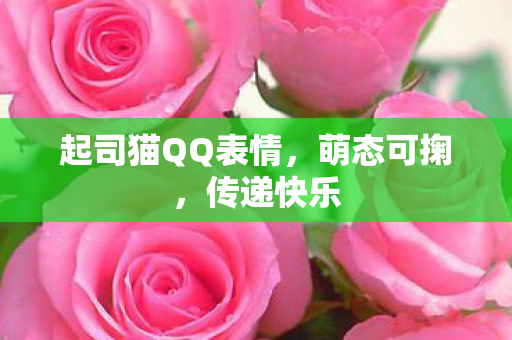 起司猫QQ表情,萌态可掬,传递快乐 起司猫QQ表情,萌态可掬,传递快乐