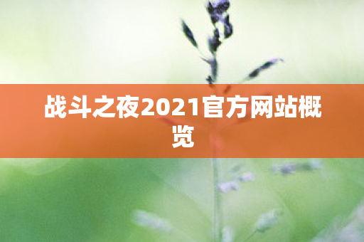 战斗之夜2021官方网站概览 战斗之夜2021官方网站概览