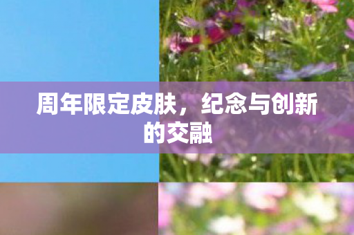 周年限定皮肤,纪念与创新的交融 周年限定皮肤,纪念与创新的交融