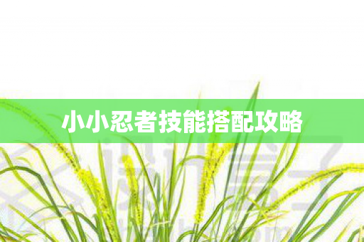 小小忍者技能搭配攻略 小小忍者技能搭配攻略