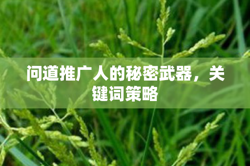问道推广人的秘密武器，关键词策略