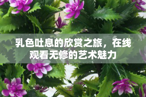 乳色吐息的欣赏之旅,在线观看无修的艺术魅力 乳色吐息的欣赏之旅,在线观看无修的艺术魅力