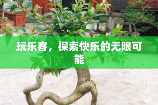 玩乐客,探索快乐的无限可能 玩乐客,探索快乐的无限可能