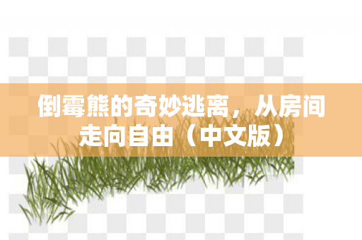 倒霉熊的奇妙逃离，从房间走向自由（中文版）