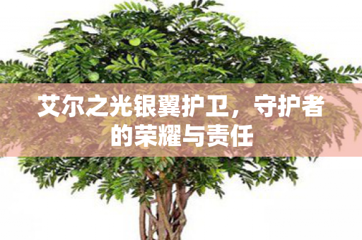 艾尔之光银翼护卫，守护者的荣耀与责任