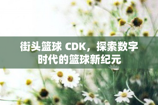 街头篮球 CDK，探索数字时代的篮球新纪元