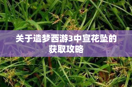 关于造梦西游3中宣花坠的获取攻略