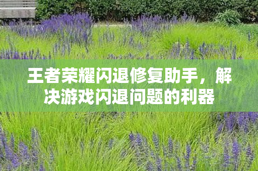 王者荣耀闪退修复助手,解决游戏闪退问题的利器 王者荣耀闪退修复助手,解决游戏闪退问题的利器