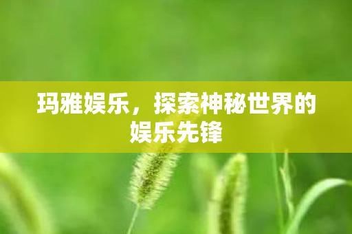 玛雅娱乐,探索神秘世界的娱乐先锋 玛雅娱乐,探索神秘世界的娱乐先锋