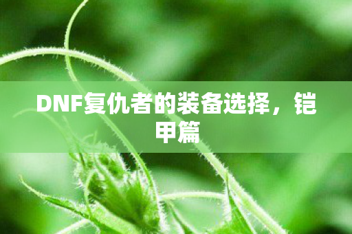 DNF复仇者的装备选择，铠甲篇
