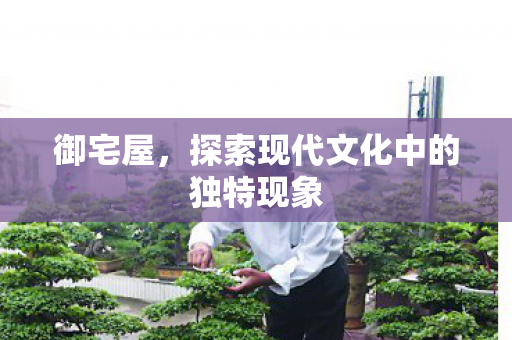 御宅屋，探索现代文化中的独特现象
