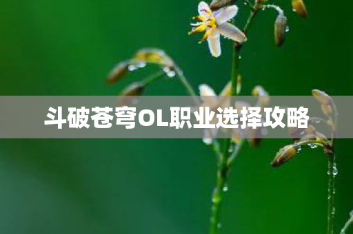 斗破苍穹OL职业选择攻略 斗破苍穹OL职业选择攻略