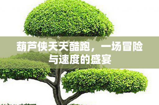 葫芦侠天天酷跑,一场冒险与速度的盛宴 葫芦侠天天酷跑,一场冒险与速度的盛宴