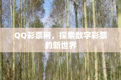 QQ彩票网,探索数字彩票的新世界 QQ彩票网,探索数字彩票的新世界