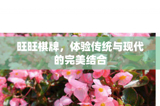 旺旺棋牌,体验传统与现代的完美结合 旺旺棋牌,体验传统与现代的完美结合