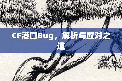 CF港口Bug,解析与应对之道 CF港口Bug,解析与应对之道