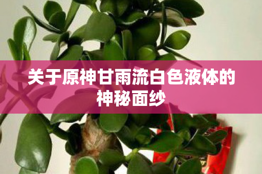 关于原神甘雨流白色液体的神秘面纱