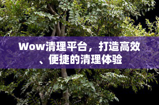 Wow清理平台,打造高效、便捷的清理体验 Wow清理平台,打造高效、便捷的清理体验