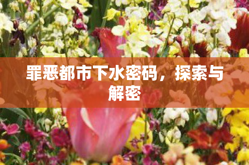 罪恶都市下水密码,探索与解密 罪恶都市下水密码,探索与解密
