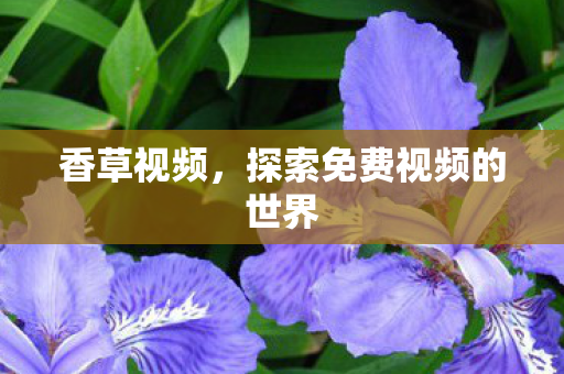 香草视频,探索免费视频的世界 香草视频,探索免费视频的世界
