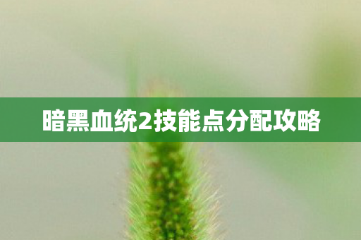 暗黑血统2技能点分配攻略 暗黑血统2技能点分配攻略
