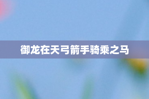 御龙在天弓箭手骑乘之马 御龙在天弓箭手骑乘之马