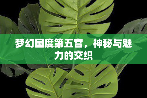 梦幻国度第五宫,神秘与魅力的交织 梦幻国度第五宫,神秘与魅力的交织