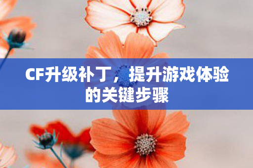 CF升级补丁,提升游戏体验的关键步骤 CF升级补丁,提升游戏体验的关键步骤