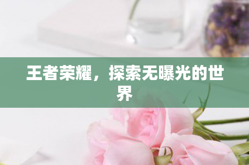 王者荣耀,探索无曝光的世界 王者荣耀,探索无曝光的世界