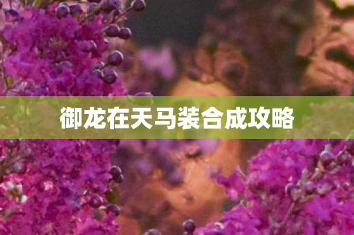 御龙在天马装合成攻略 御龙在天马装合成攻略
