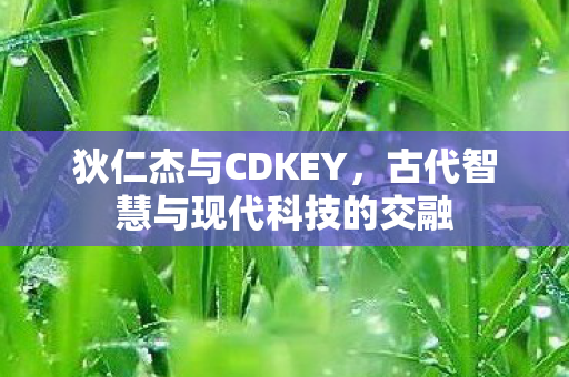 狄仁杰与CDKEY,古代智慧与现代科技的交融 狄仁杰与CDKEY,古代智慧与现代科技的交融