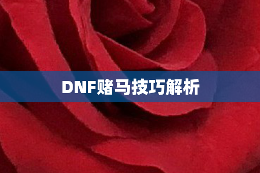 DNF赌马技巧解析