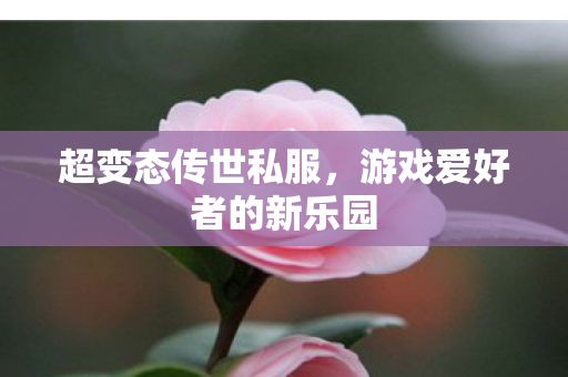 超变态传世私服,游戏爱好者的新乐园 超变态传世私服,游戏爱好者的新乐园