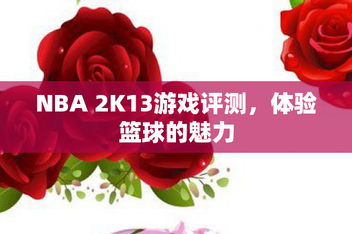 NBA 2K13游戏评测,体验篮球的魅力 NBA 2K13游戏评测,体验篮球的魅力
