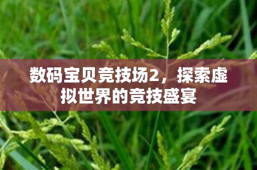 数码宝贝竞技场2,探索虚拟世界的竞技盛宴 数码宝贝竞技场2,探索虚拟世界的竞技盛宴