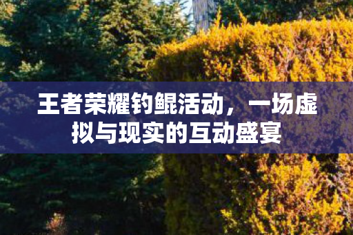 王者荣耀钓鲲活动,一场虚拟与现实的互动盛宴 王者荣耀钓鲲活动,一场虚拟与现实的互动盛宴