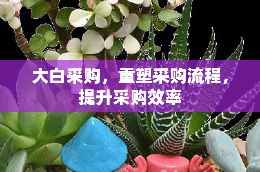 大白采购,重塑采购流程,提升采购效率 大白采购,重塑采购流程,提升采购效率