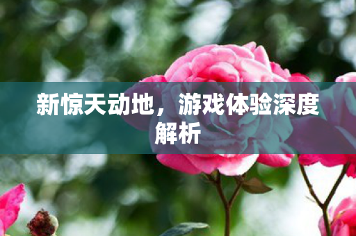 新惊天动地,游戏体验深度解析 新惊天动地,游戏体验深度解析