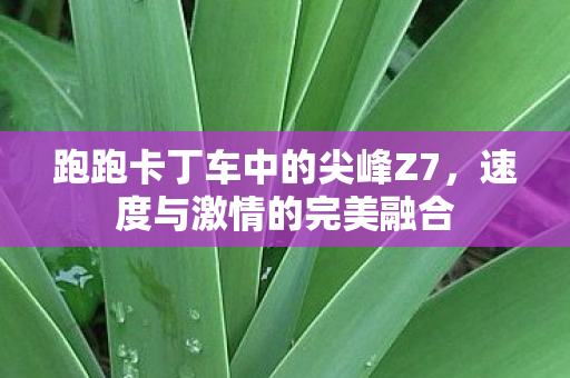 跑跑卡丁车中的尖峰Z7,速度与激情的完美融合 跑跑卡丁车中的尖峰Z7,速度与激情的完美融合