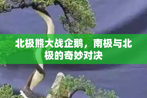 北极熊大战企鹅,南极与北极的奇妙对决 北极熊大战企鹅,南极与北极的奇妙对决