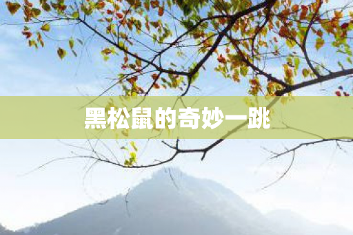 黑松鼠的奇妙一跳 黑松鼠的奇妙一跳