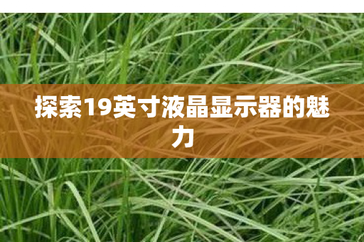 探索19英寸液晶显示器的魅力 探索19英寸液晶显示器的魅力