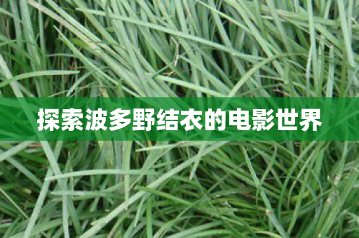 探索波多野结衣的电影世界 探索波多野结衣的电影世界